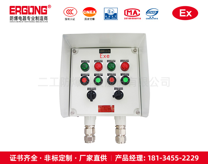 專業(yè)生產防爆防腐接線箱隔爆操作柱